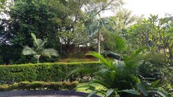 Ridout Road (D10), Detached #497030401